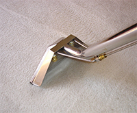 carpet cleaning services