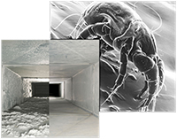 Air Duct Cleaning Company